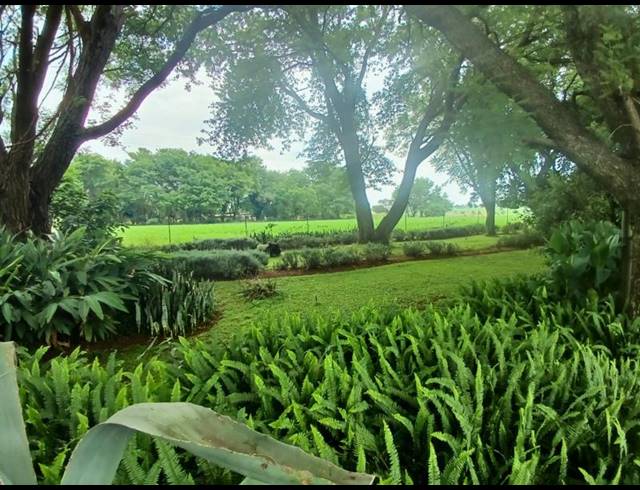 FARM FOR SALE IN VASFONTEIN
